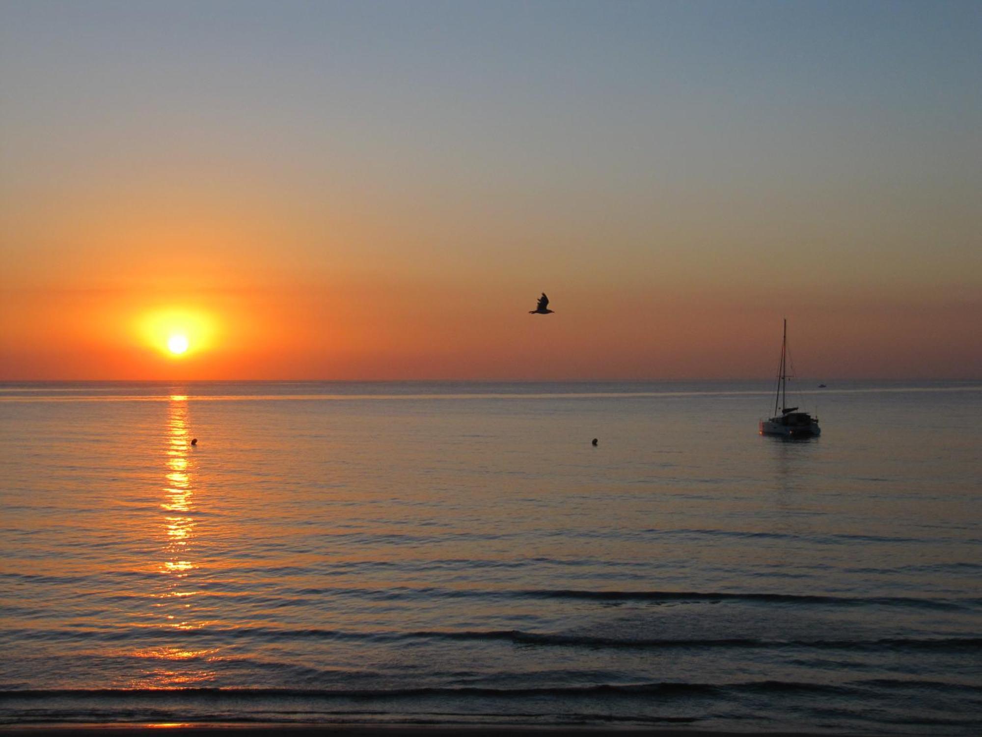 Excepcional Apartamento Loft A Pie De Playa En Chalet Roquetes アリカンテ エクステリア 写真